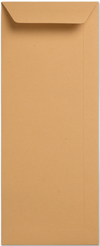 Umschlag Specials 12,5 x 31,2 cm Kraft Braun