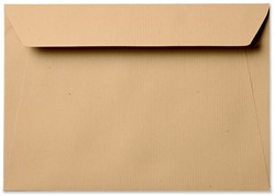 Umschlag Specials 15,6 x 22 cm Striplock/Haftklebend  Kraft Braun