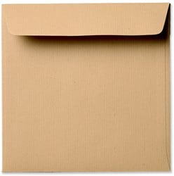 Umschlag Specials 16 x 16 cm Striplock/Haftklebend  Kraft Braun