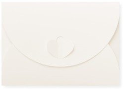 Geschenkumschlag 11 x 15,6 cm Biotop