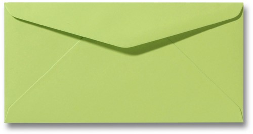 Umschlag Roma 11 x 22 cm Lindengrün