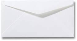 Umschlag Roma 11 x 22 cm Biotop
