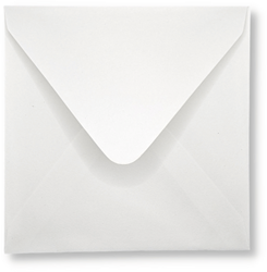 Envelop 14 x 14 cm Kraft Biotop