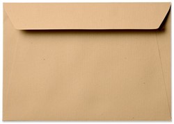 Striplock 15,6 x 22 cm